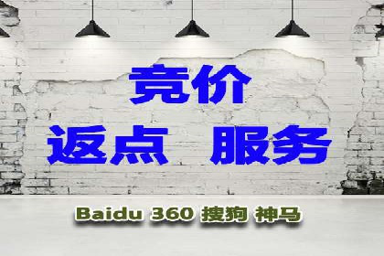 SEM推广公司案例分享：电商品牌崛起之路